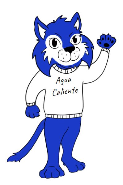 Wilfredo the Wildcat!